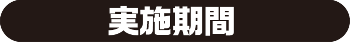 実施期間