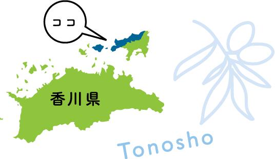 小豆島土庄町 地図 イラスト
