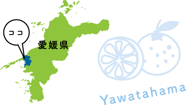 八幡浜市 地図 イラスト