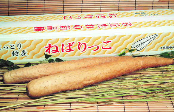 ねばりっこ